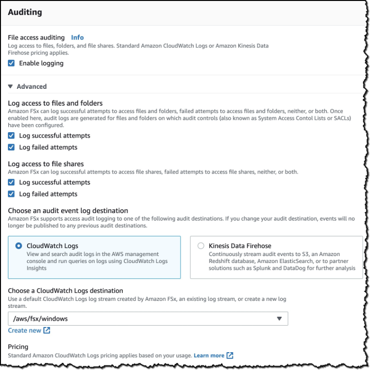 Screenshot of the Auditing options