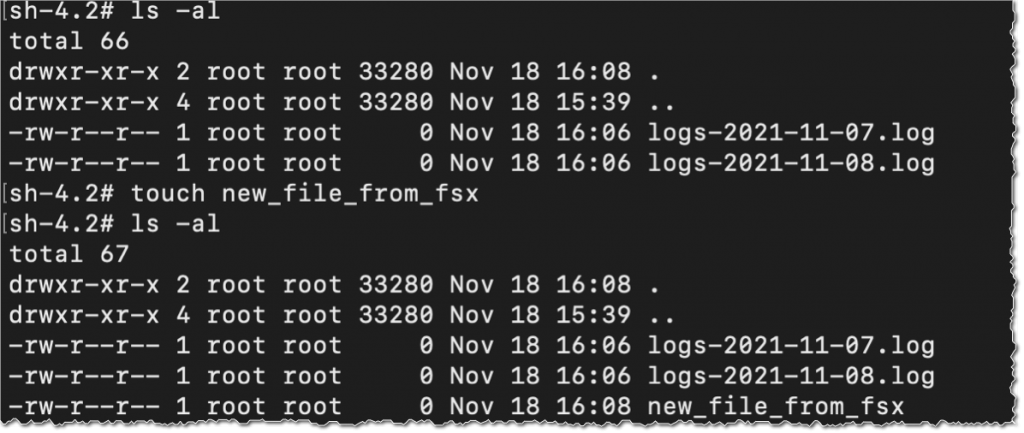 Fsx Lustre - check file system