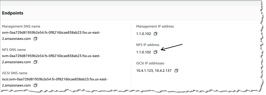 Ubicación de la dirección IP de NFS en la pestaña de máquinas virtuales de almacenamiento: consola de AWS