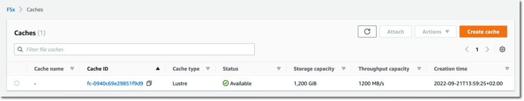 Amazon File cache status is available