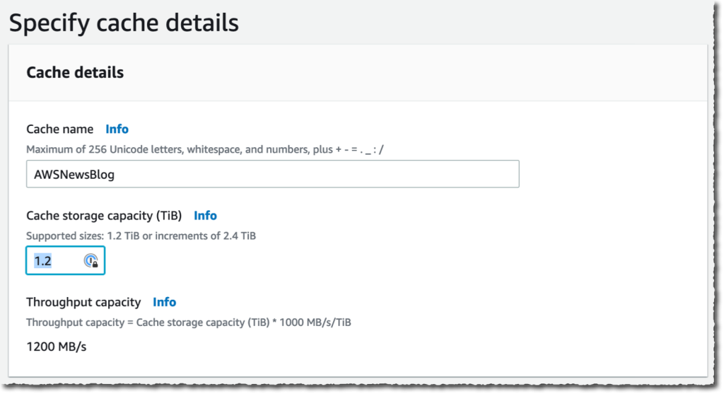 Amazon File Cache create 1