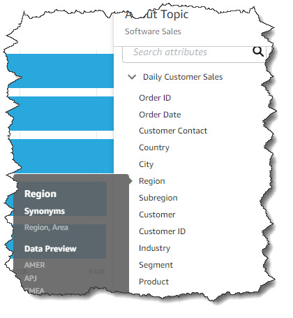 QuickSight Q Topic