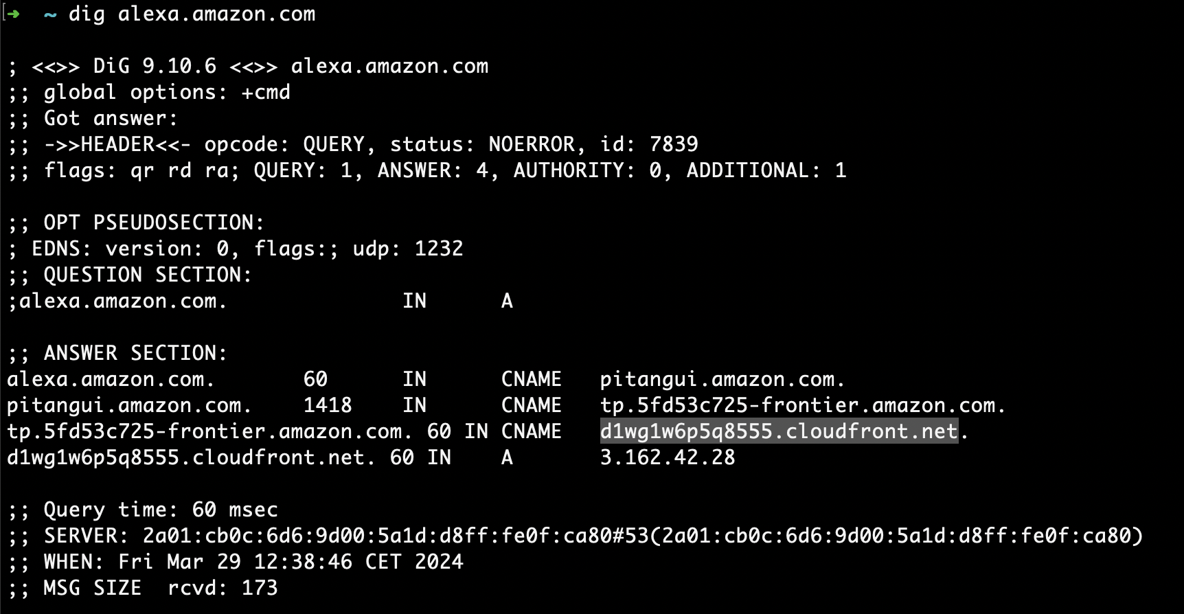 DNS resolution for alexa.amazon.com