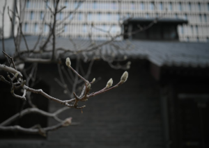 AWS साप्ताहिक राउंडअप: Amazon Bedrock agent workflows, Amazon SageMaker private connectivity, और अधिक (फ़रवरी 2, 2026)