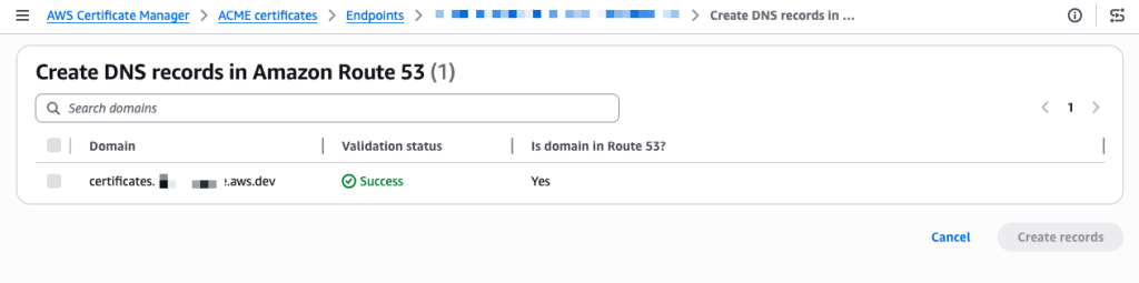 ACME - DNS success