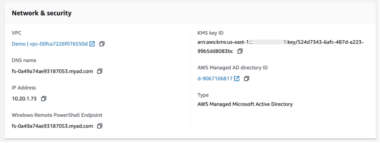 Figure 2 - Amazon FSx file system DNS name