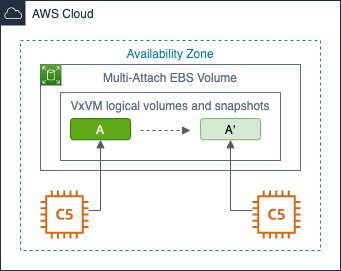 Figure 1 - Instant snapshot with Veritas CVM