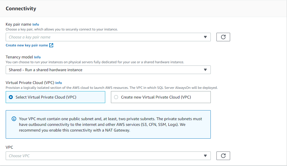 In the Connectivity section, you provide inputs for the networking infrastructure of your application resources