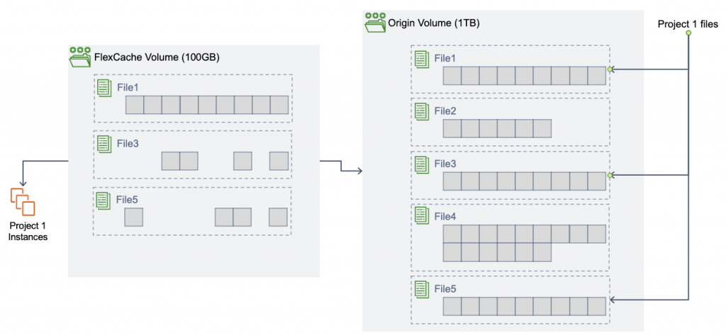 Figure1 FlexCache only caches the blocks within files that users read locally