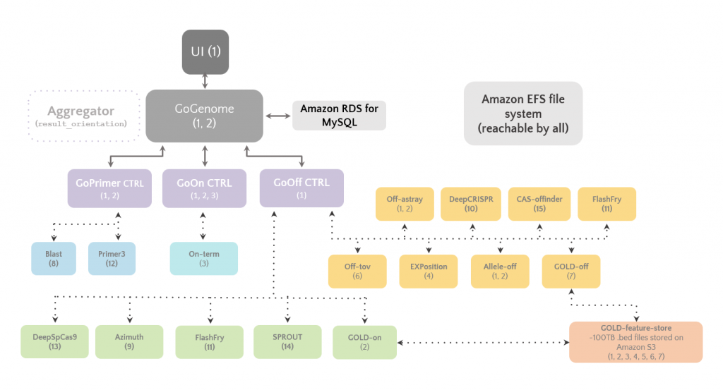 A schematic overview of GoGenome and the microservices powering it