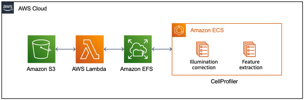 Figure 1 - Overview of Cell Painting on AWS