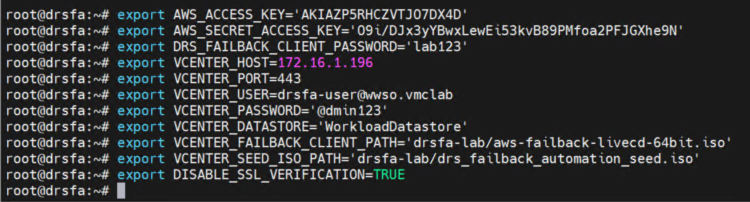 VMC VM shell showing the variables used for installing the DRSFA failback client