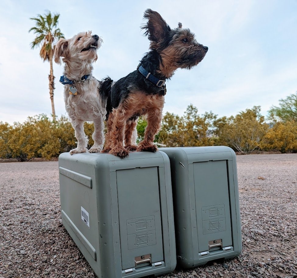 Picture of two small dogs, Chewie and Mr. Waggles standing on 2 Snowball Edge Devices.