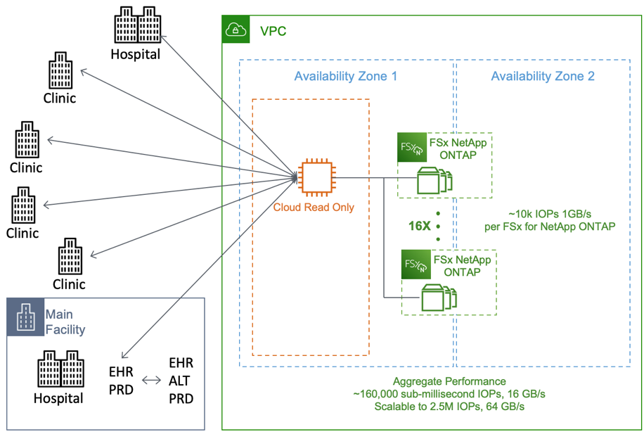 Read only copy through EHR replication