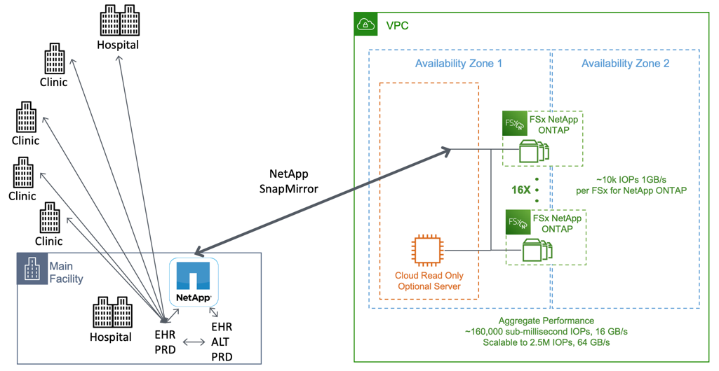 Read only copy through NetApp SnapMirror