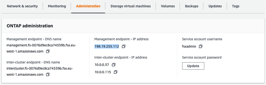 Figure 1 FSx for ONTAP Management endpoint