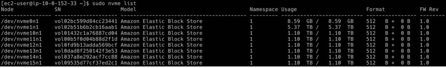 example output of the list command that lists the NVMe devices on the instance and their volume IDs