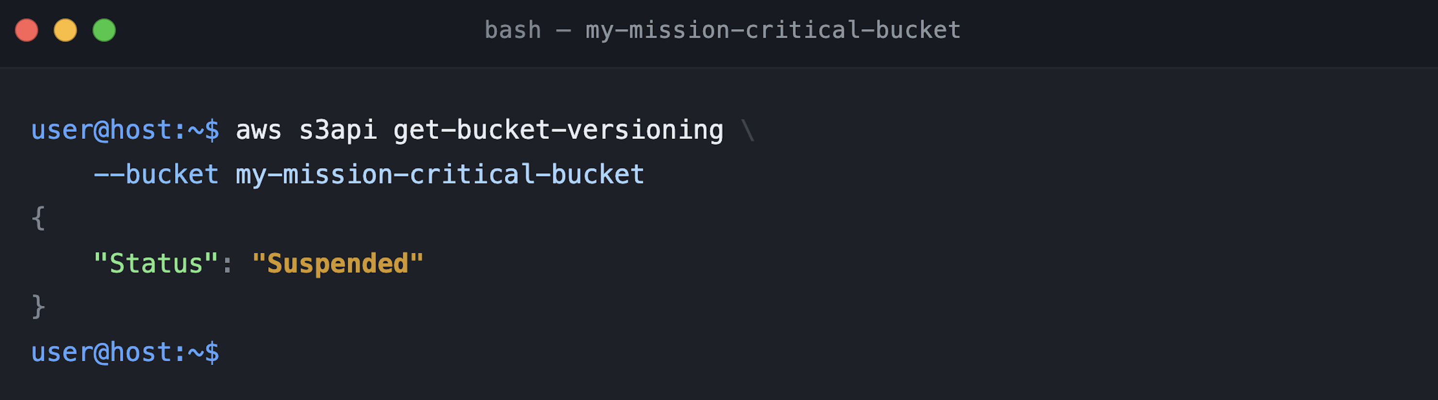 Figure 4_Validating versioning in suspended mode
