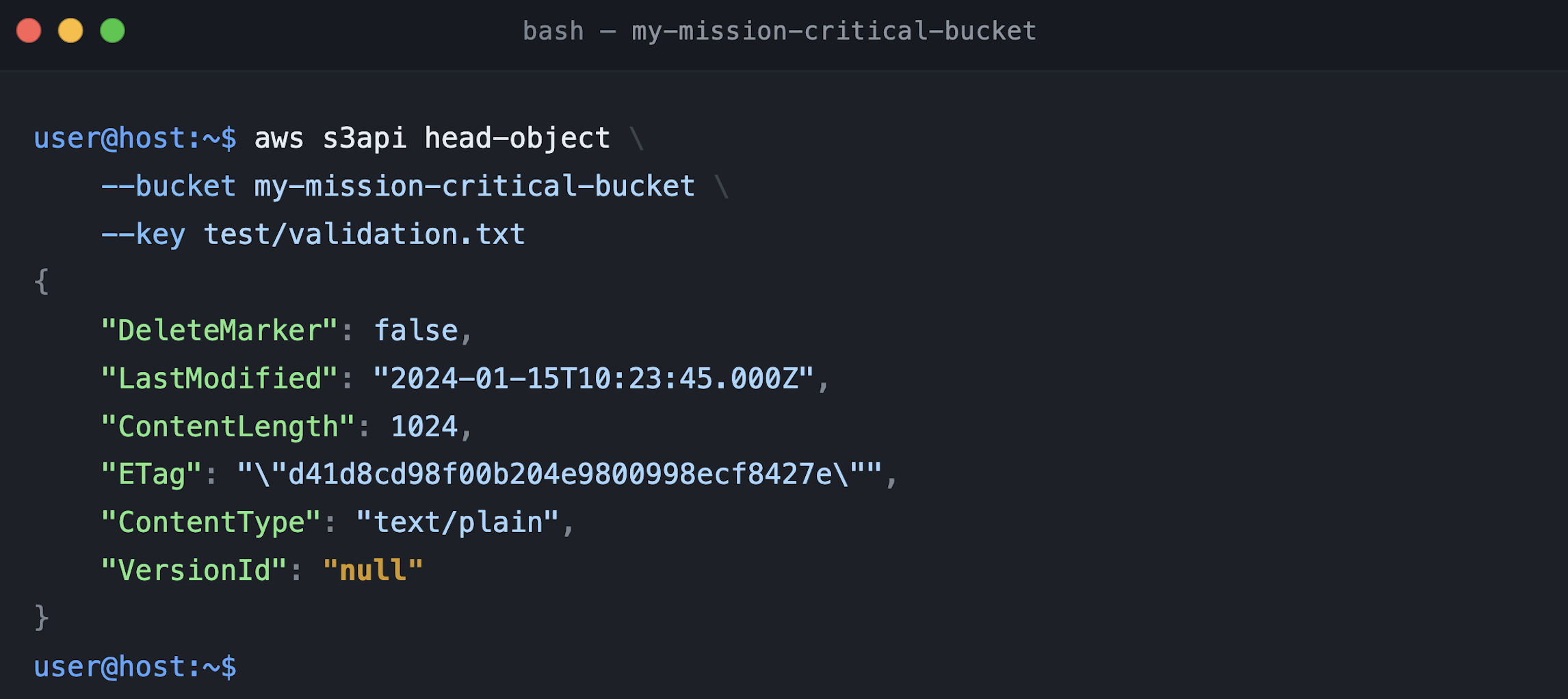 Figure 5_head-object API with suspended mode with x-amz-version-id value