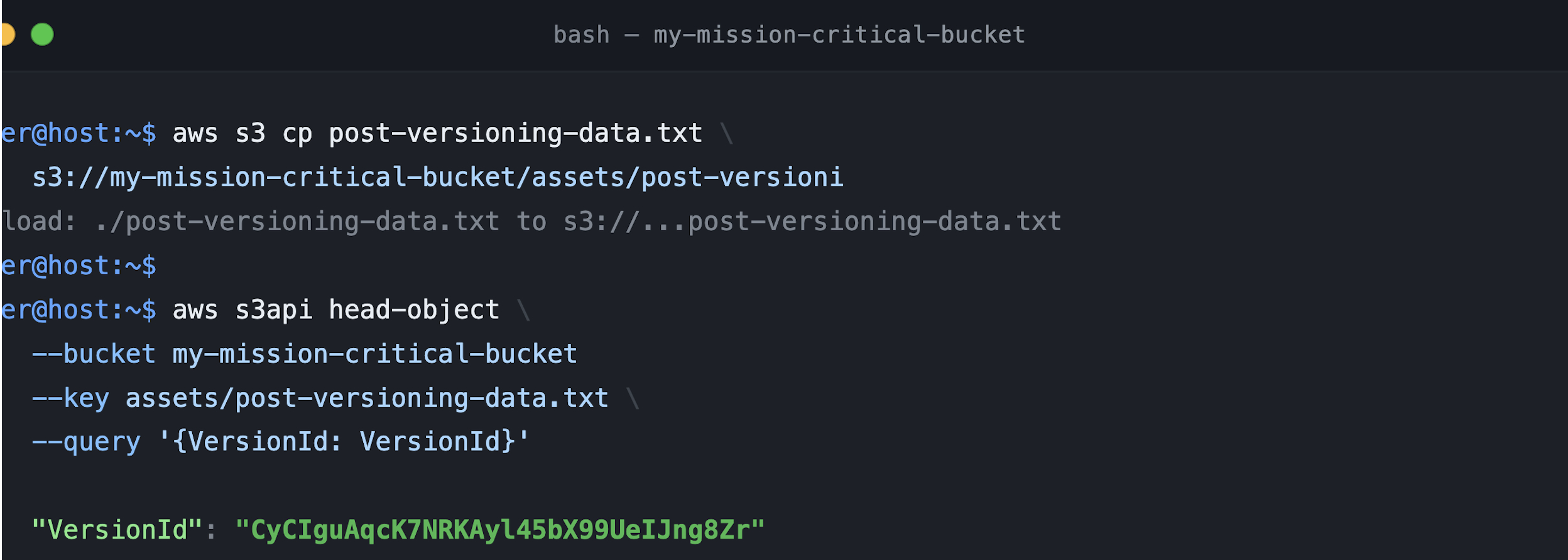 Figure 8_New upload with version ID after versioning enabled