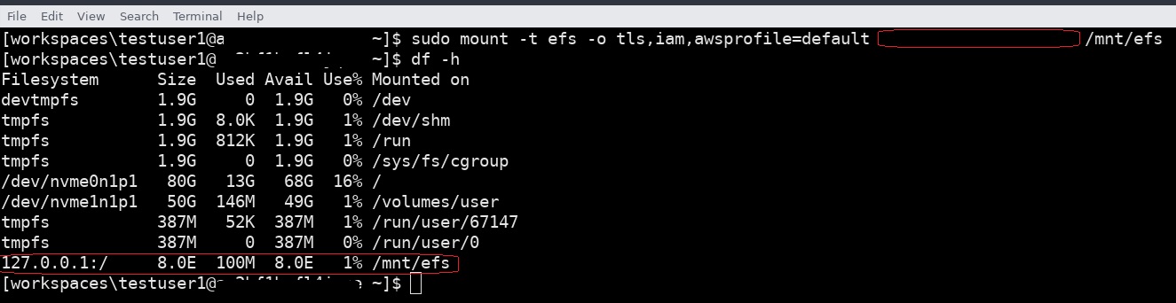 EFS file system mounted successfully using IAM authentication