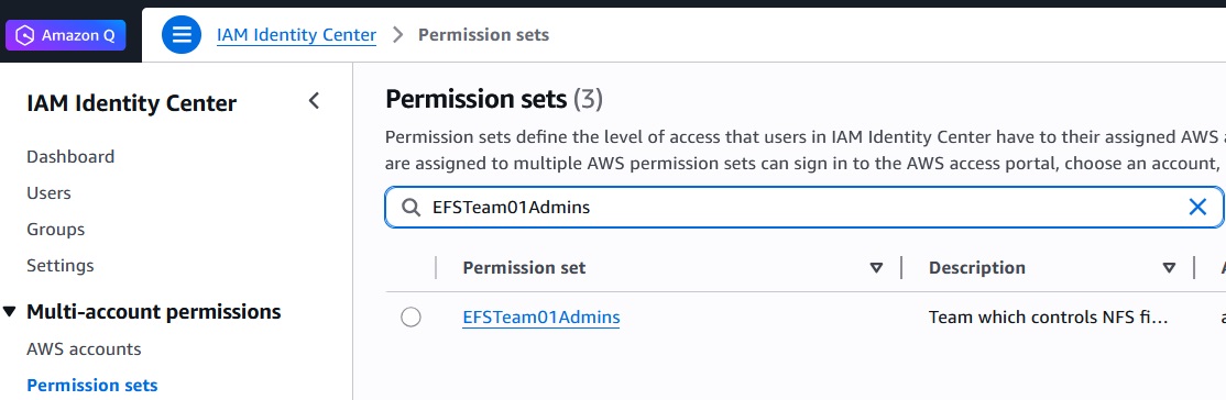 Custom EFS administrator permissions that grant elevated access for file system management