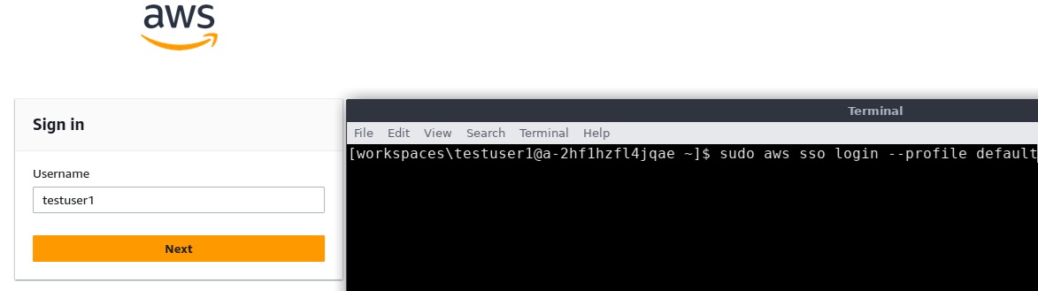 IAM Identity Center login from the WorkSpaces terminal