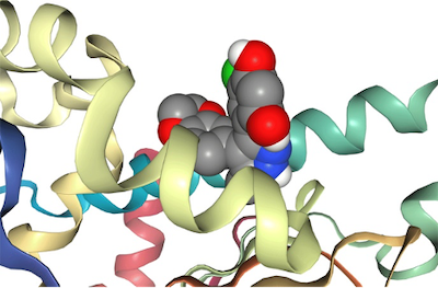 Figure 1 – Two docking poses for a ligand bound to the active site of Hsp90. Ref.: Simon Bray, 2020 Protein-ligand docking (Galaxy Training Materials).