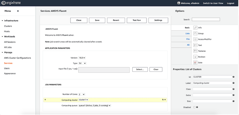 Figure 8: The administrator view of creating a web form for Ansys Fluent.