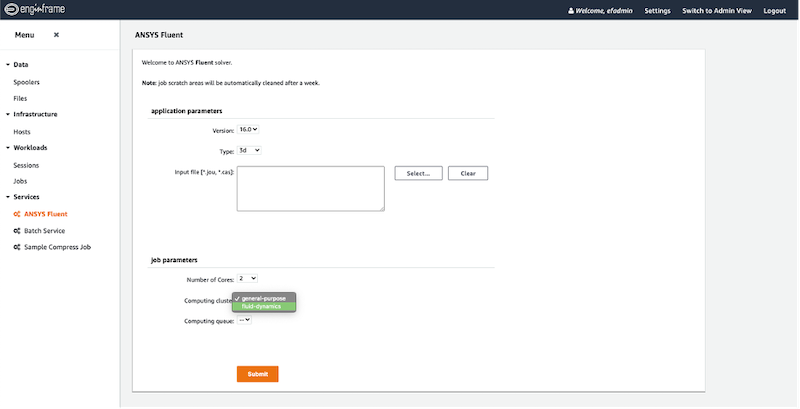 Figure 9: The user's view of submitting an Ansys Fluent job, offering a choice of compute resource to use in this submission.