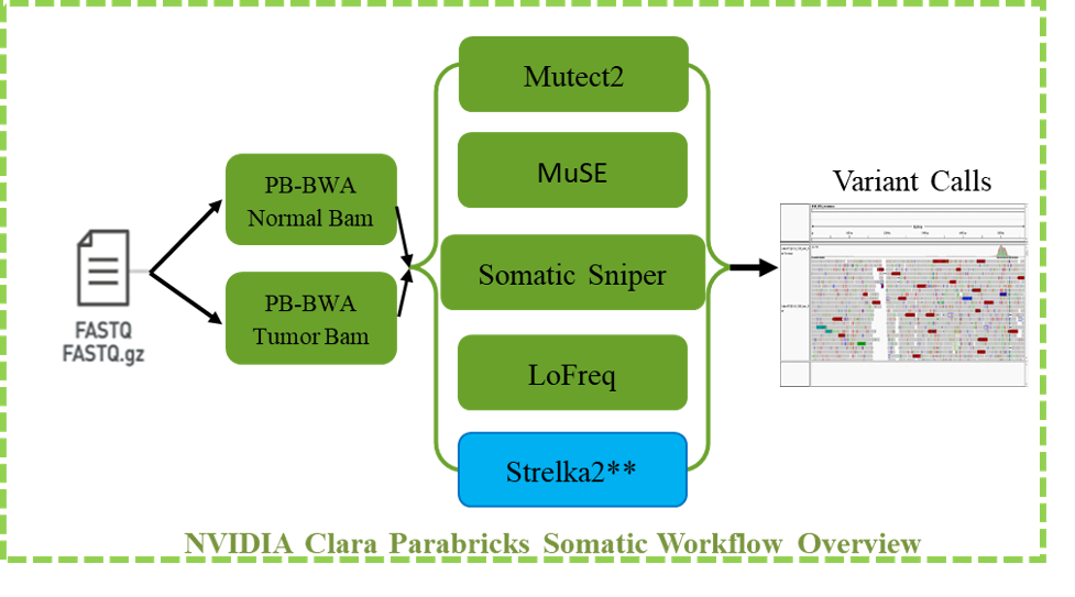 Figure 1: Overview of NVIDIA Clara Parabricks somatic variant calling software suite – Mutect2, MuSE, Somatic Sniper and LoFreq are GPU accelerated (highlighted in green), while Strelka2 is not (highlighted in blue).