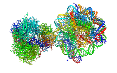 Thermo Fisher CryoEM