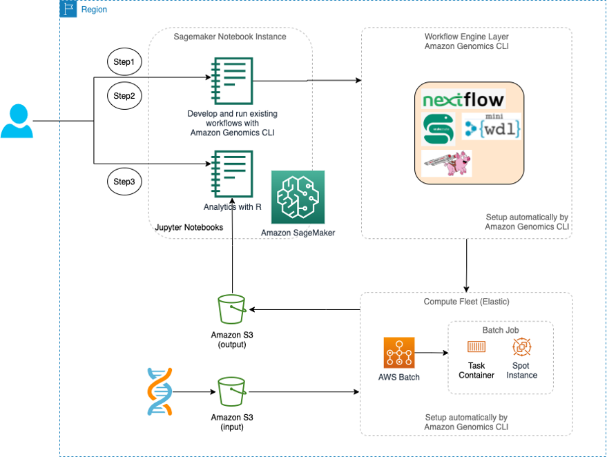 Figure 1: Architecture for executing genomics workflows with Amazon Genomics CLI (AGC). AGC automates deployment of cloud infrastructure to quickly set up and run genomics workflows (Nextflow, Snakemake, Cromwell, miniWDL) on AWS. Users can interactively analyze the results of these workflows using Amazon SageMaker Notebooks.