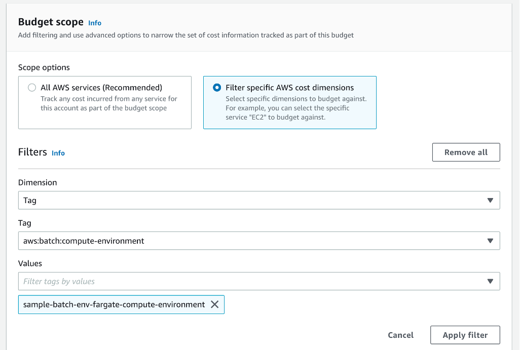 Figure 4: Creating a cost Budget with a tag filter in the Console