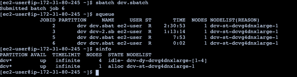 Figure 7 - Four jobs being run on the same DCV host.