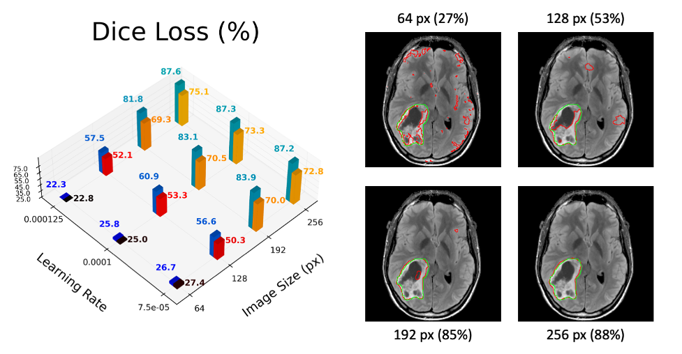 Figure 5 - Mean (black/red/yellow) and median (blue/teal) dice loss with typical results at each image size.