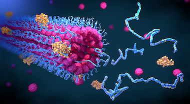 Running protein structure prediction at scale using a web interface for  researchers