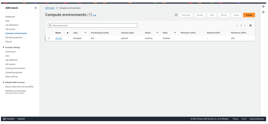 Figure 9 - Compute Environment console with newly created environment