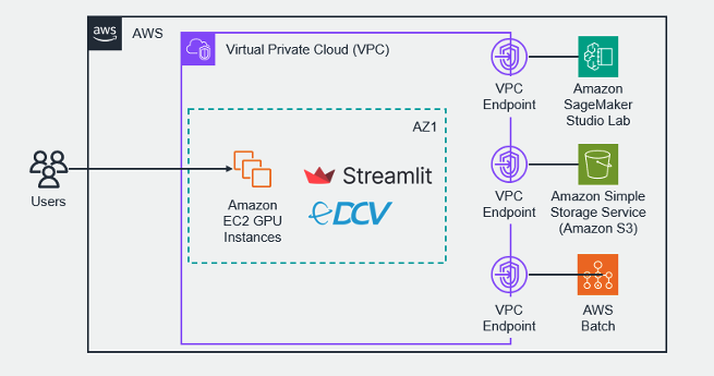 Figure 2: AWS Architecture diagram for deployment on a g5 instance using DCV, with endpoints to retrieve data or optionally submit compute jobs on self-managed ML endpoints (AWS Batch) or Amazon SageMaker