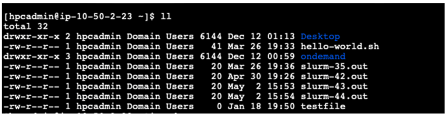 Figure 4 – A terminal session on a PCS compute node showing the user shared storage directory listing