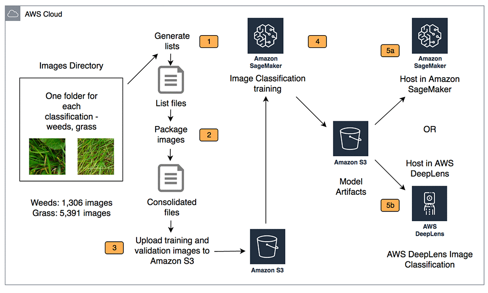 Building A Lawn Monitor And Weed Detection Solution With Aws Machine