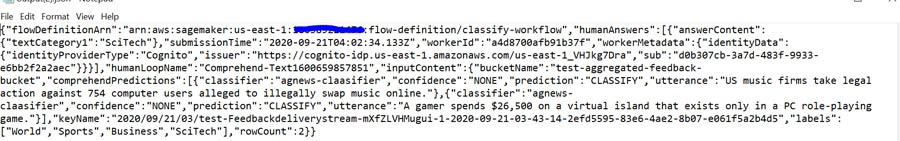 Human Review Task Output payload