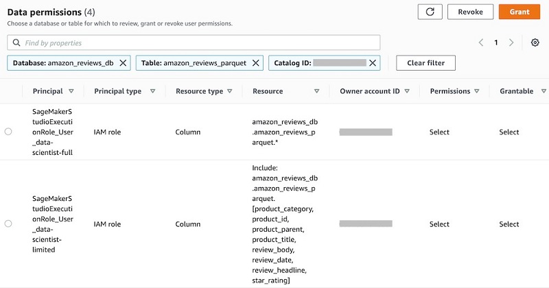 You see a list of permissions granted for the table, including the permissions you just granted and permissions for the Lake Formation Admin.