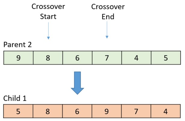 When the swap is complete, the large arrow moves to the next gene to cross over.