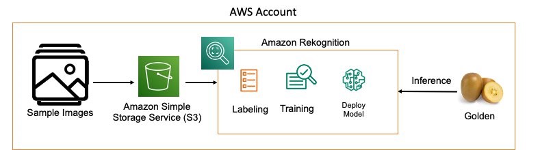 As shown in the following pipeline, the first step to generating a custom computer vision model is to generate labeled images that we use to train our model.