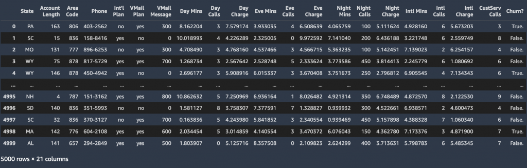 churn dataset