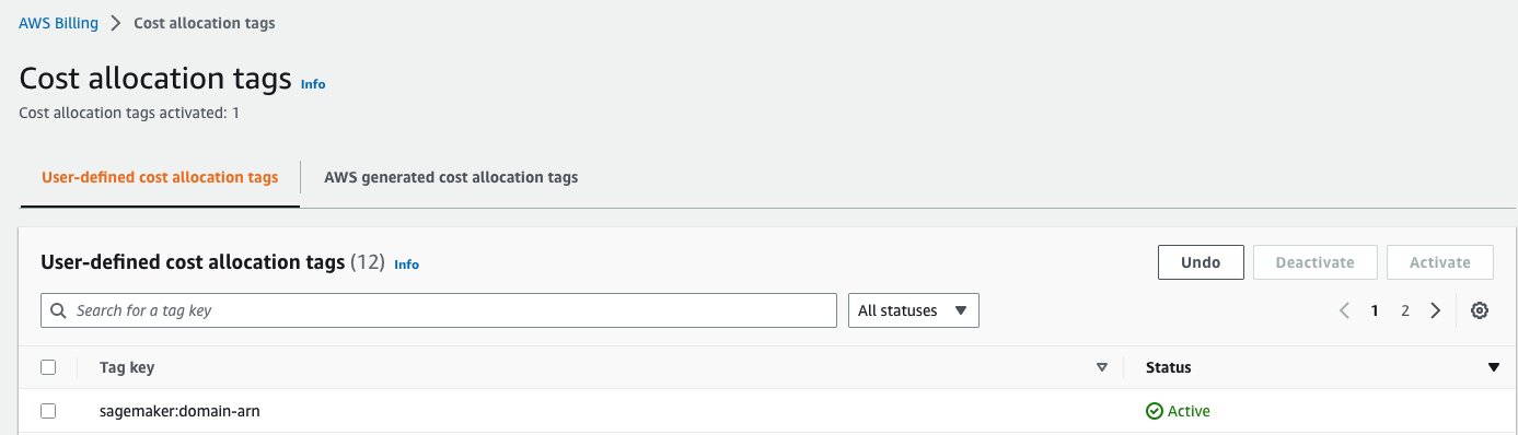 cost allocation tags