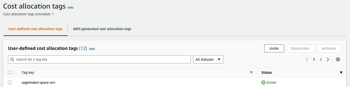 adjunte una etiqueta de asignación de costos para sagemaker:space-arn