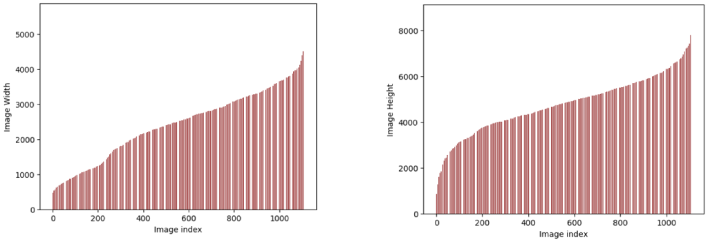 Distribution of image height and width for a sample data set