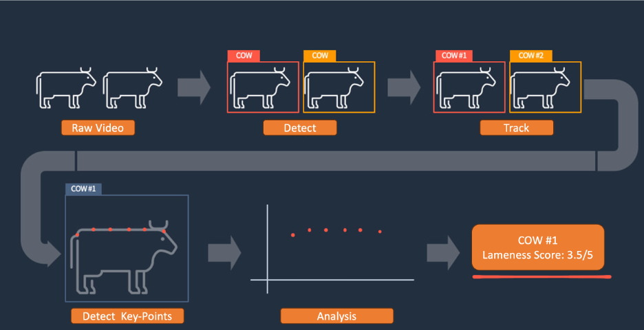 Keeping an eye on your cattle using AI technology | AWS Machine ...